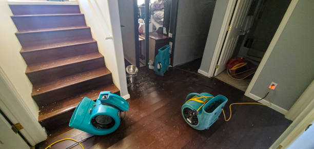 Best Residential water damage restoration  in Muttontown, NY