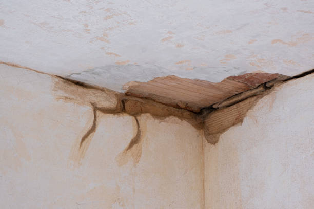 Best Water damage cleanup near me  in Muttontown, NY