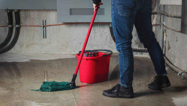 Best 24/7 water damage repair  in Muttontown, NY