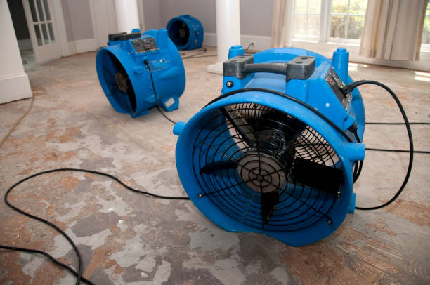 Best Local water damage restoration  in Muttontown, NY