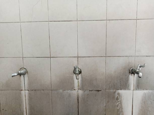 Best Water damage restoration services  in Muttontown, NY