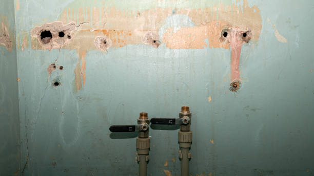 Best Carpet water damage restoration  in Muttontown, NY