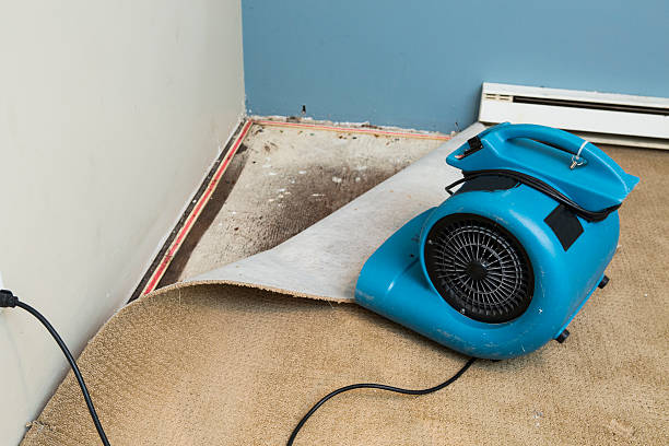 Best Water damage contractors near me  in Muttontown, NY